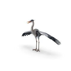 3D rendering of The  crane on white background isolated, Japanese cranes stand with open wings