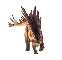 dinosaur , stegosaurus  isolated background © meen_na