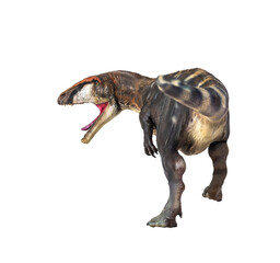 dinosaur , Carcharadontosaurus  isolated background