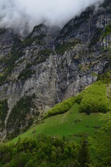 View of mountains covered by fog and green trees