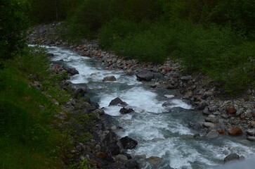 Beautiful view of mountain river running among stones and plants outdoors