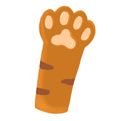 fluffy orange cat paw