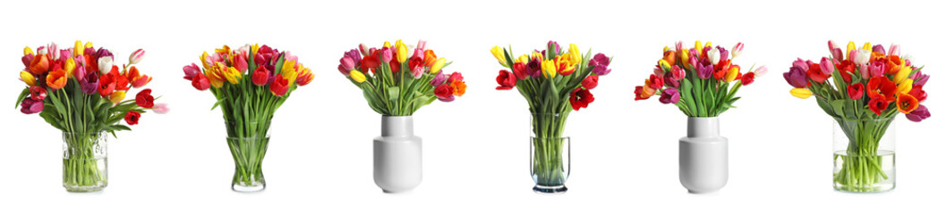 Collage of stylish vases with beautiful tulip bouquets on white background