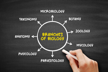 Branches of biology mind map text concept for presentations and reports