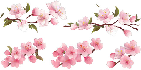 Cherry blossom flowers and branches set 3
