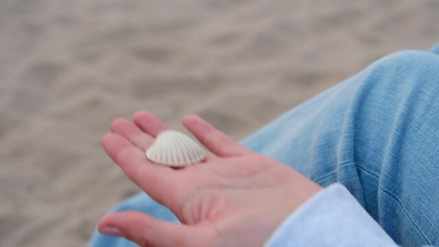 Person finding shell on lovely sandy beach. 