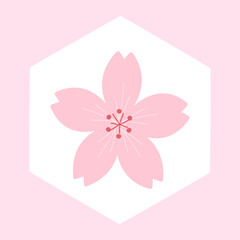 Cherry blossom on hexagon sign vector illustration.