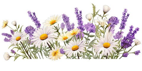 Lavender and chamomile flowers set 1