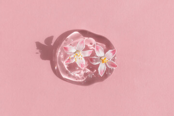 A drop of transparent cosmetic gel or serum with hyaluronic acid with pink flowers on a pink background. The concept of natural cosmetics. Top view.