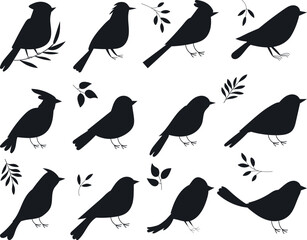 set of bird silhouette, on white background vector