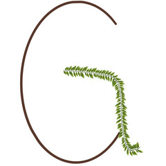 G