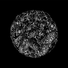 oysters circle hand drawing vector isolated on black background.