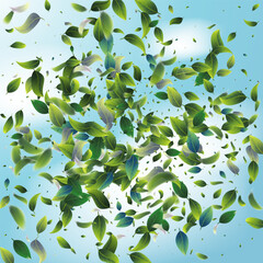 Green Tea Leaves in the Center Falling on Blue Ske Background. 3d Realistic Mint Plant Illustration. Tea Emblem. Spring Natural Banner Eco Organic Beauty Product Placeholder. Olive Herb Foliage.