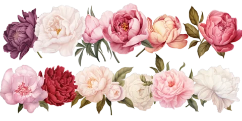 Rolgordijnen Rose and peony flowers set 1 © KrisetyaStudio
