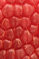 Czerwone tło, struktura owocu maliny z bliska 