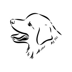 Vector isolated one single Australian Shepherd dog head black and white bw two colors silhouette. Template for laser engraving or stencil