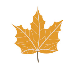 Simple Autumn maple leaf. Hand drawn element for autumn decorative design, halloween invitation, harvest or thanksgiving. Vector illustration