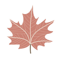 Simple Autumn maple leaf. Hand drawn element for autumn decorative design, halloween invitation, harvest or thanksgiving. Vector illustration
