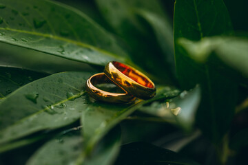 wedding rings on a flower