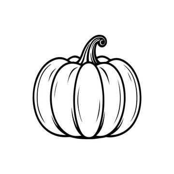 Thanksgiving Day pumpkin silhouette, isolated on white background. Vector illustration, traditional Halloween decorative element. Halloween silhouette black pumpkin sketch.