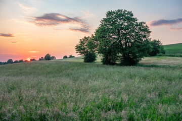 Fototapeta na wymiar Landscape at sunset in Germany 