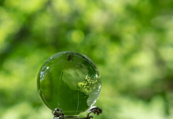 glass earth globe in forest