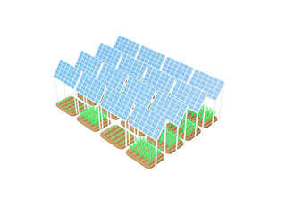 ソーラーシェアリング　営農型太陽光発電