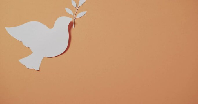 Close up of white dove with leaf and copy space on orange background