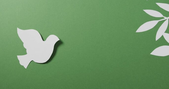 Close up of white dove with leaf and copy space on green background