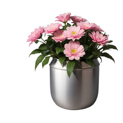 Pink flowers in a pot, isolated, transparent background, no background. PNG. Generative AI.