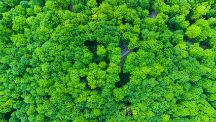 Plitvice lake from above drone view