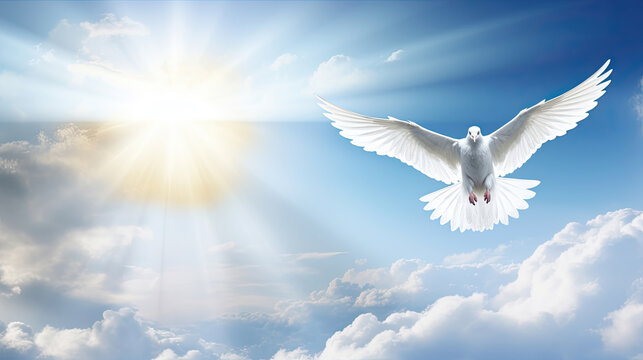 Spirit of god background banner panorama - White dove with wings wide open in the blue sky air with clouds and sunbeams