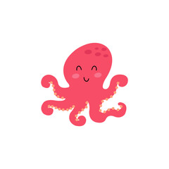 octopus 