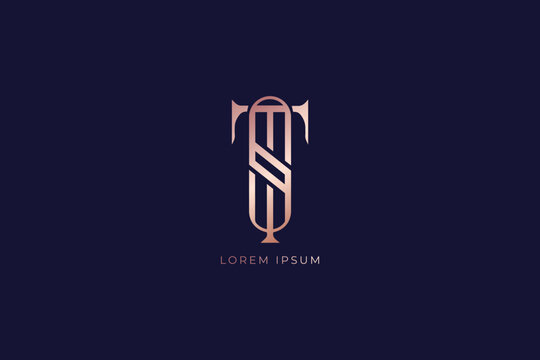 ts minimalist letter fashion brand design line style creative golden wordmark design typography illustration, st company logo, ts retro logo