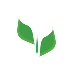 leaf logo icon