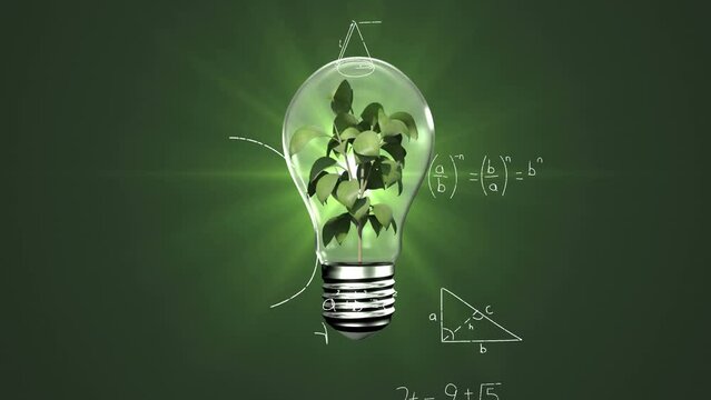 Animation of mathematical equations over plant inside a electric bulb against green light spot