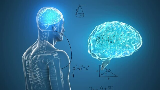 Animation of mathematical equations over spinning human body model and human brain