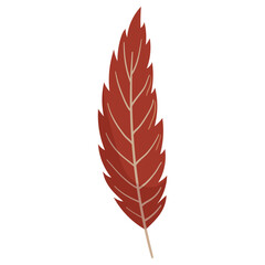 Autumn forest red leaf illustration