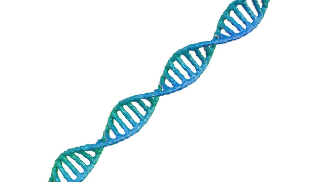 DNA molecule ed icon rendering isolated