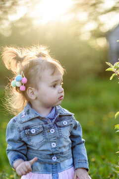 A beautiful child is playing in a summer country garden. Little girl in the summer outdoors