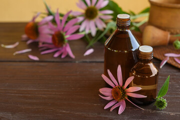 Blooming coneflower heads and bottle of echinacea oil on wooden background close-up. Concrept of Herbal or homeopathy medicine. Flower essential oil. Herbal medicine. Side view, copy space for text.