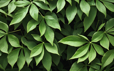 Leaf concept background spring summer close-up green foliage of plants. Swarms leaf. Tropical leaf