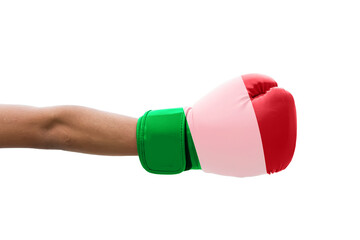 3D Flag of Italy on a boxing gloves.