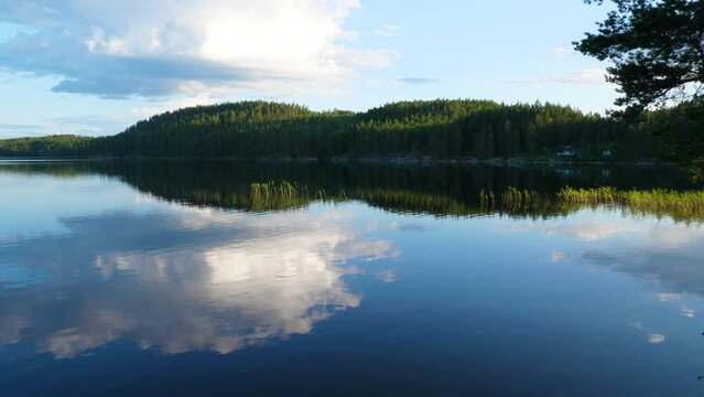 View of a secluded lake deep in the forest.
