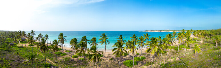 Fototapeta na wymiar Aerial panorama of Macao beach with green coconut palm trees and turquoise color of the Caribbean sea. Best destinations for vacations in Dominican Republic 