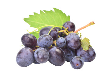 Grape fruit isolated 