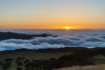 Sunset from famous Fanal forest in Madeira