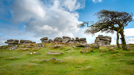 combestone tor dartmoor