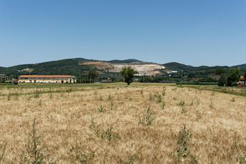 Fototapeta premium Italien - Toskana - Provinz Livorno - Campiglia Marittima - Umland