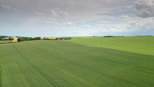 Aerial footage of Lincolnshire, with a summer crop of wheat and barley, and a small country road cutting through the rural scene, tractor tracks.